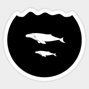 Whales Sticker